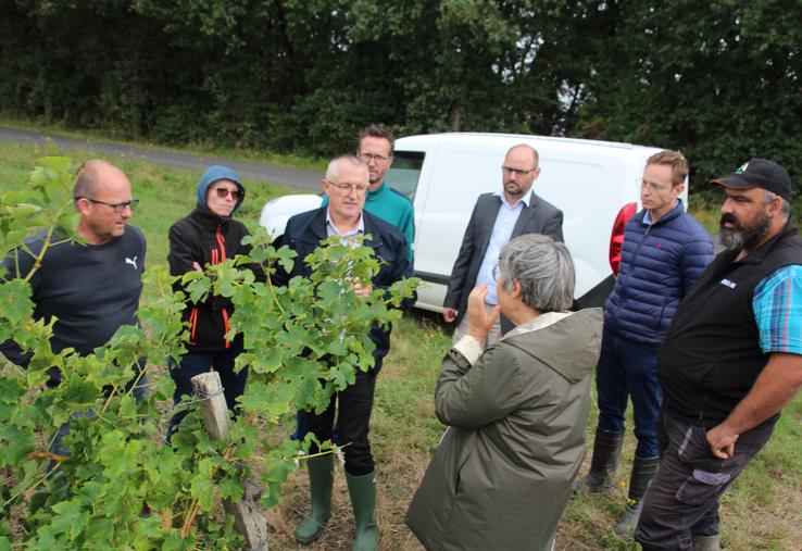 Une délégation de la DDT s'est rendue sur une parcelle de vignes d'Isabelle Bureau, à Jaunay-Marigny.