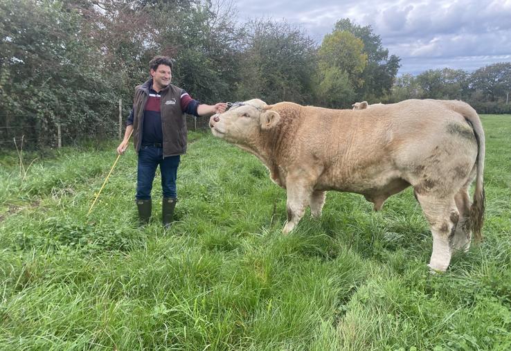 Olivier Maudet et son dernier taureau reproducteur, acheté à l'ancien maître de stage de son fils.