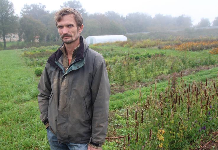 Les fleurs comestibles: des saveurs à part que cultive Samuel Vergnory.