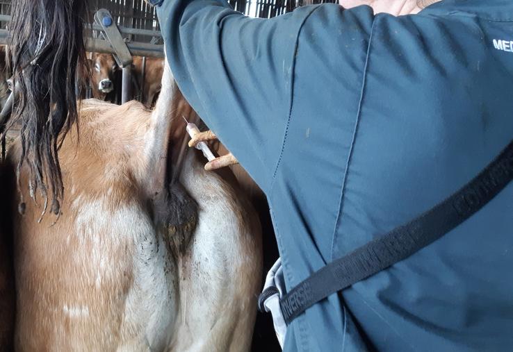 Le maillage vétérinaire du territoire est essentiel pour garantir une bonne prophylaxie dans les élevages.