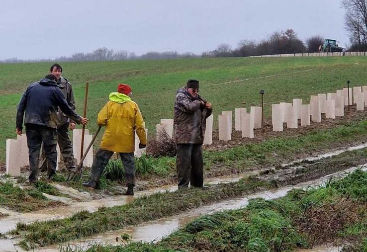 Malgré les précipitations, 500 m de haie ont été plantés.