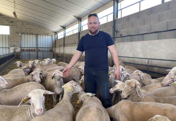 Thomas Baudry, entouré de ses agnelles. L'éleveur estime avoir atteint son objectif de réduction du temps d'astreinte.