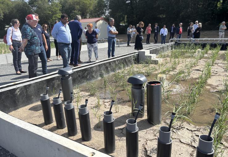 La station de Persac repose sur la double action de roseaux implantés dans des milieux granulaires et d'air pulsé.