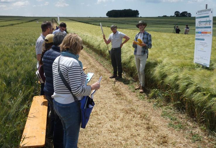 Parmi les ateliers, celui sur l'adaptation des techniques de culture, présenté par Clément Gras, où l'accent était mis sur les risques d'un semis trop dense.
