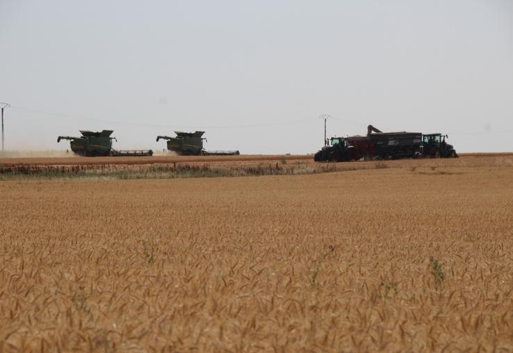 Ces derniers jours, le ballet des moissonneuses a été rythmé par les impératifs d'une météo caniculaire.