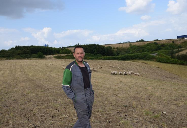Le troupeau de 70 brebis permet de valoriser les coteaux de l'exploitation de Mathieu Guilbot.