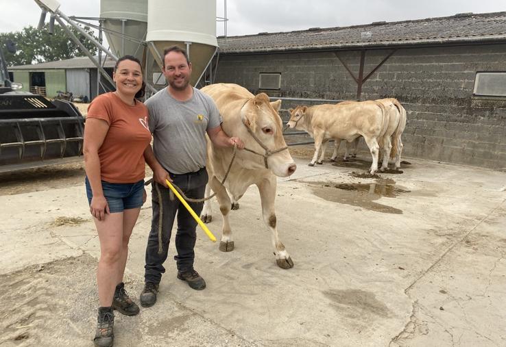 Le taureau et les quatre génisses du Gaec vont concourir auprès de 500 animaux issus de 131 élevages.