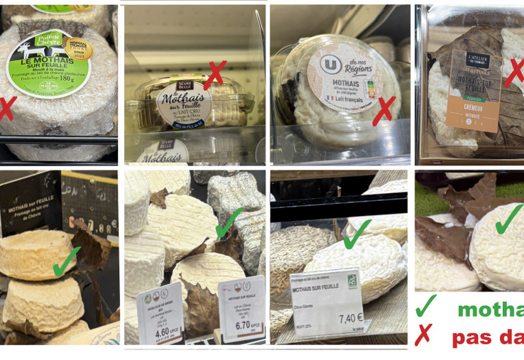 Difficile de s'y retrouver dans les étals des grandes surfaces, chez les fromagers ou dans les magasins de producteurs. Pour les produits non emballés, même si les Mothais-sur-Feuille sont des vrais, l'AOC n'est pas toujours indiquée...