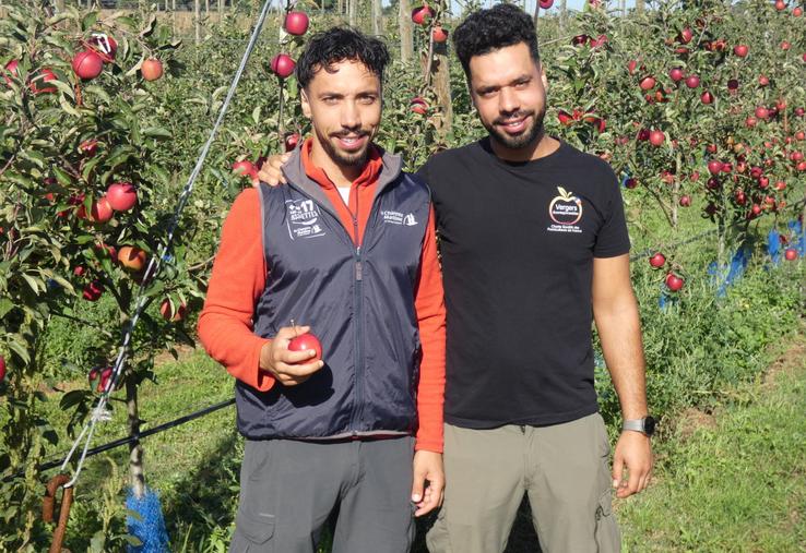 Même si les années difficiles s'enchaînent dans les vergers, Soufiane et Issam Hachmi soulignent leur amour de ce métier. « La météo est intransigeante, mais d'un autre côté, c'est satisfaisant de pouvoir cueillir des fruits que l'on a vu grandir et se développer. Ça n'a pas de prix. Et les retours des clients font plaisir également. »