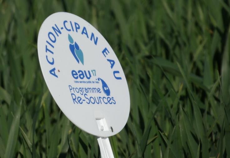 Sur l'aire d'alimentation du captage du Bouil de Chambon, " compte tenu des actions engagées par Eau 17 depuis plus de 15 ans, les résultats et engagements doivent être massifiés par un dispositif réglementaire davantage contraignant afin d'aboutir à des résultats plus tangibles sur la qualité de l'eau ", indique la feuille de route.