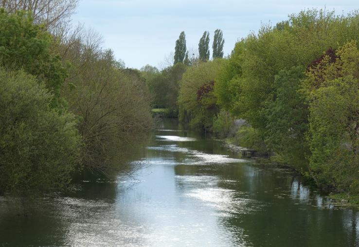 La rivière Boutonne à Tonnay-Boutonne.