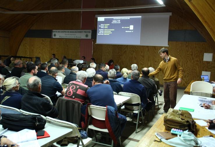 Les prix moyens des lots de taillis (chêne, charme, châtaigner), en léger recul, se situent entre 15 et 20 €/stère.
