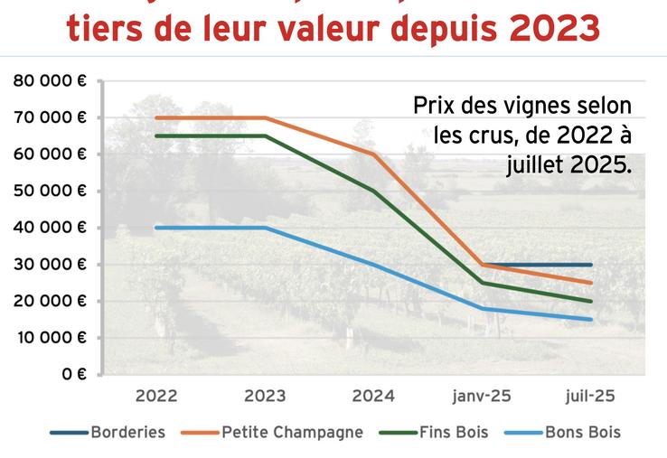 Prix des vignes en Charente-Maritime (2022 - 2025).