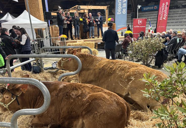 L'inauguration s'est tenue vendredi soir, en présence de très nombreuses personnalités politiques.