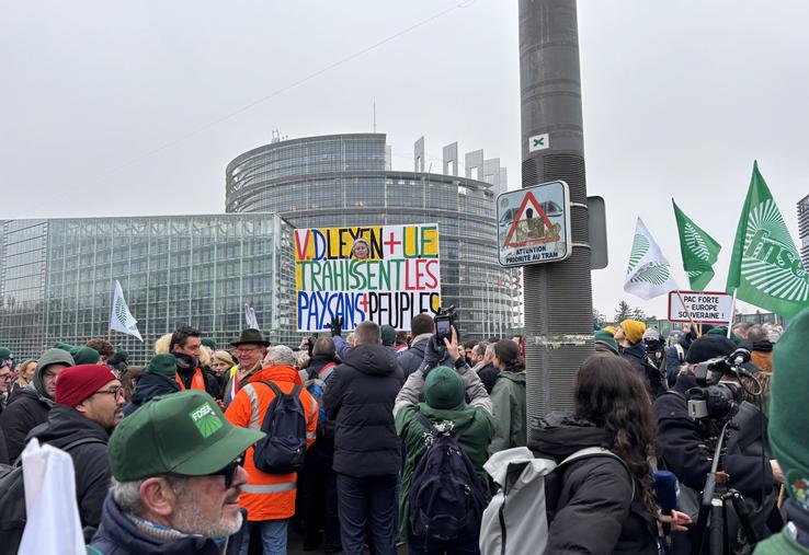L'action a été en priorité menée devant le Parlement.