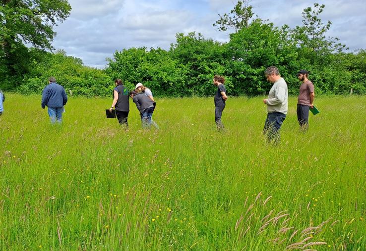 Un jury local, composé d'experts en agronomie, en botanique, en apiculture et en paysages, est venu noter la parcelle de Damien Berthomier.