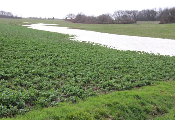 De nombreuses parcelles agricoles se sont retrouvées sous les eaux. Ici, à Jardres.