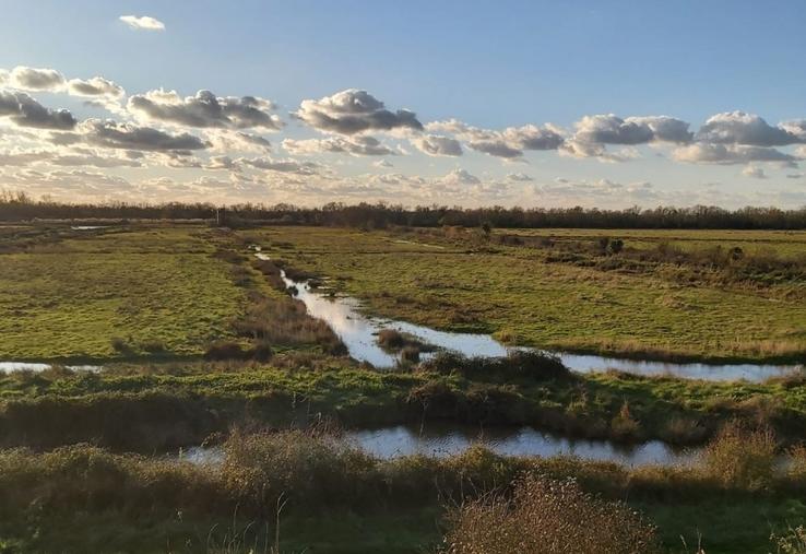 Même lors de ses mois de fermeture, la réserve de chasse et de faune sauvage reste un lieu d'actions scientifiques et de gestion des milieux naturels.