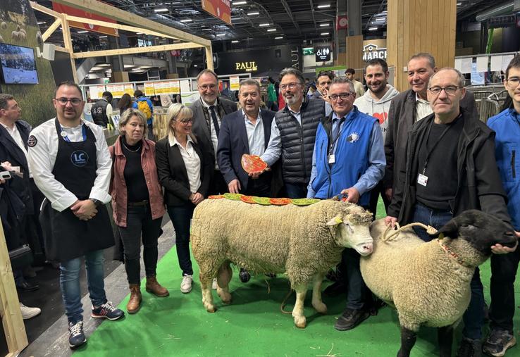 Philippe Berger a de nouveau remporté 7 prix au Sia, notamment avec ce bélier, déjà primé l'année dernière et à la Ferme s'Invite.