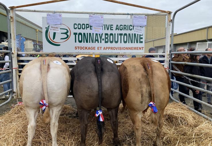 Un concours qui a tenu toutes ses promesses avec les 42 animaux.
