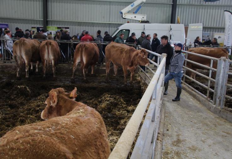 Le bâtiment a été aménagé pour optimiser le travail quotidien.