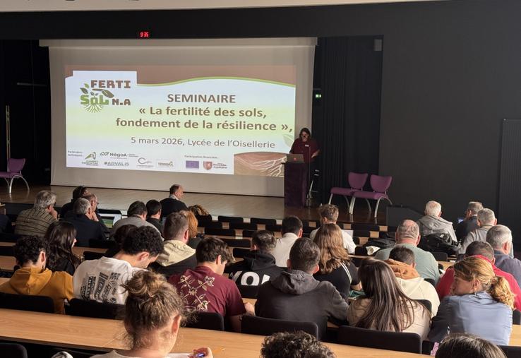 Intervention de Laetitia Seguinot, de la Chambre d'agriculture de Nouvelle-Aquitaine, lors de la journée technique.
