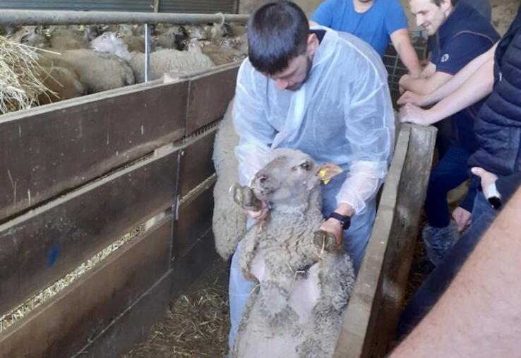 La reproduction est une affaire d'anticipation et de rigueur technique.