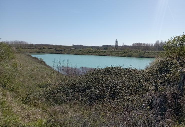Pour le projet défendu par l'ASA Boutonne, outre les réserves à créer, la réhabilitation de cette réserve existante dans le secteur de la Brédoire est prévue dans le cadre de la première tranche de travaux. 