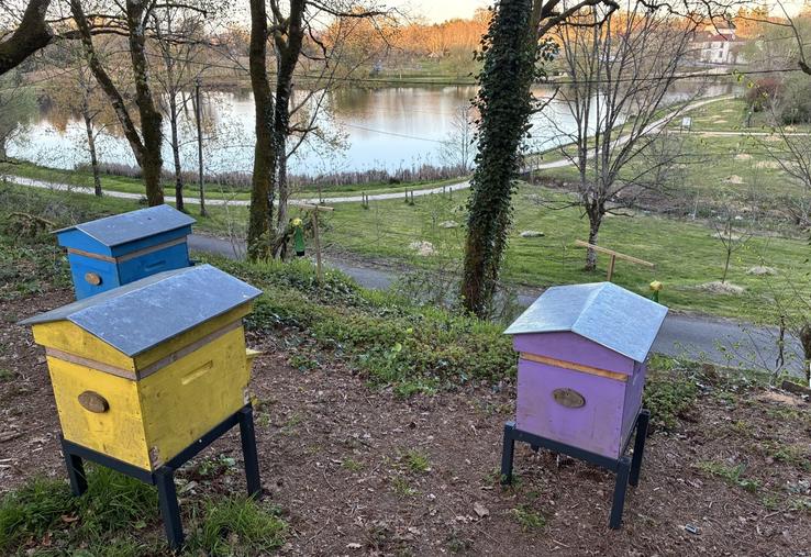 Un rucher communal a été installé à Montrollet en 2020.