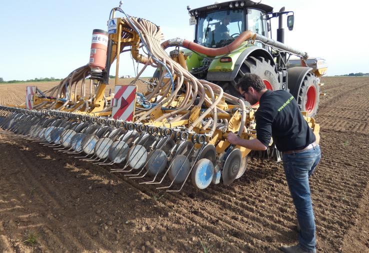 La fertilisation dès le semis permet de s'assurer que l'azote sera bien utilisé par le chanvre, pointe Benjamin Audé. La culture n'aura pas besoin de produits phytosanitaires ou même d'intervention mécanique avant sa récolte fin août - début septembre.