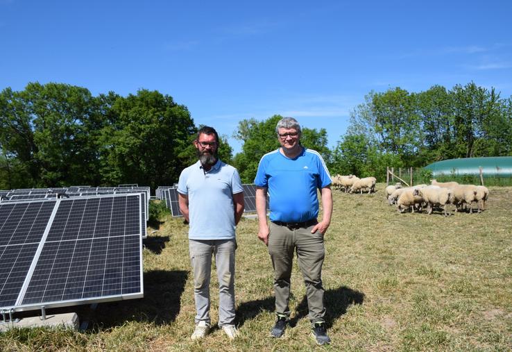 Panneaux photovoltaïques laiterie Pamplie ovins Grégoire Métais Christophe Nivault