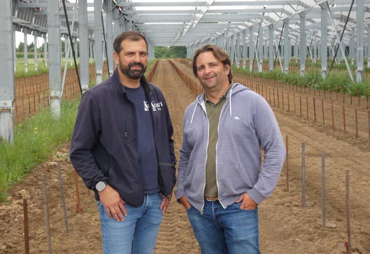 Alexis et David Moreau accueillent cette parcelle agrivoltaïque de 4,4 ha sur leur exploitation.