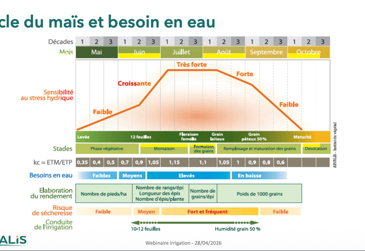 Stade et mises en place des composantes.