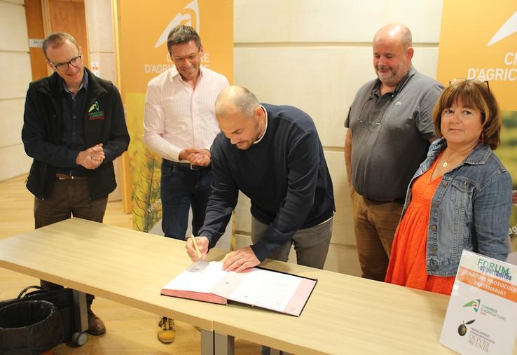 La Chambre d'agriculture de la Vienne a signé un partenariat avec l'interprofession Olives Avenir.