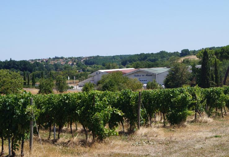Le cognac Deau est la marque phare de la distillerie des Moisans.