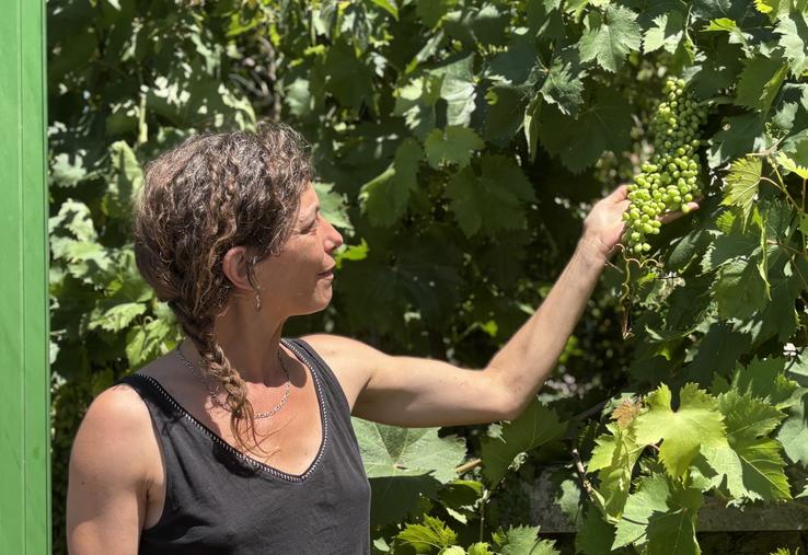 La viticultrice dispose de vignes au cœur de Potiers.