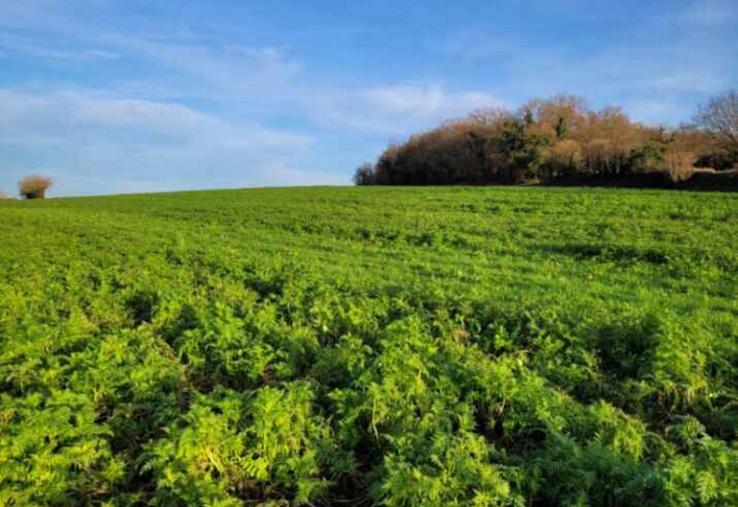 Décarbonation et filières qualité, la stratégie d'avenir de la coopérative La Tricherie.