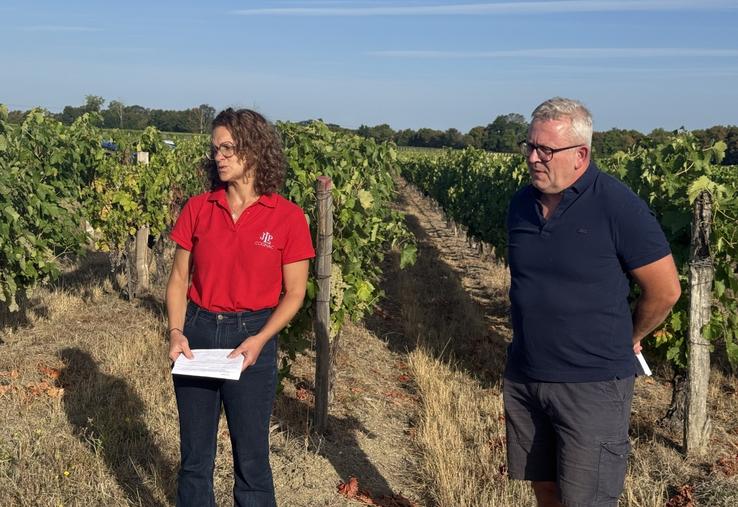 Les prospections collectives viennent compléter le travail des viticulteurs sur leurs parcelles.