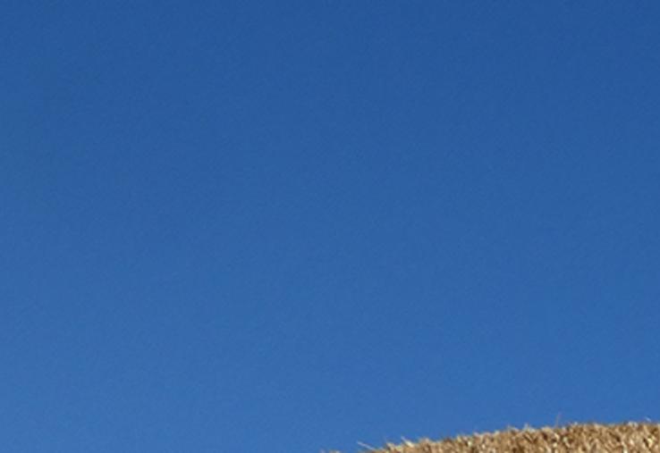 Pour bon nombre de JA de Haute-Saintonge, cette Fête de la Terre est une première : la précédente organisée dans le canton remonte à 2018, à Jonzac.
