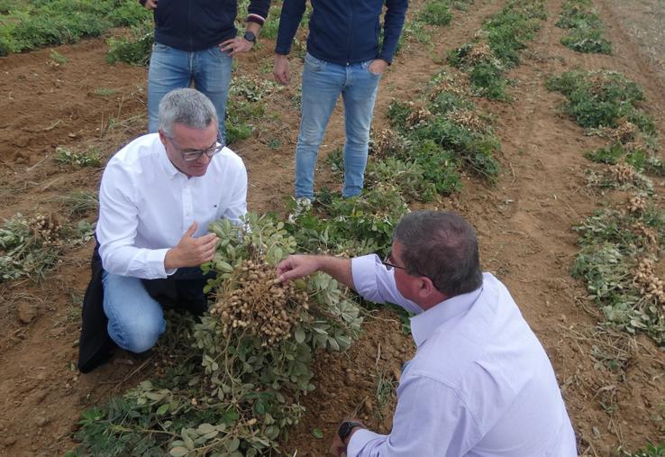 Thibault Guionneau (au centre, à côté de Mickaël Bertrand et derrière Guillaume Lamy et Jean-François Arnauld) est satisfait de sa première année dans cette nouvelle filière.