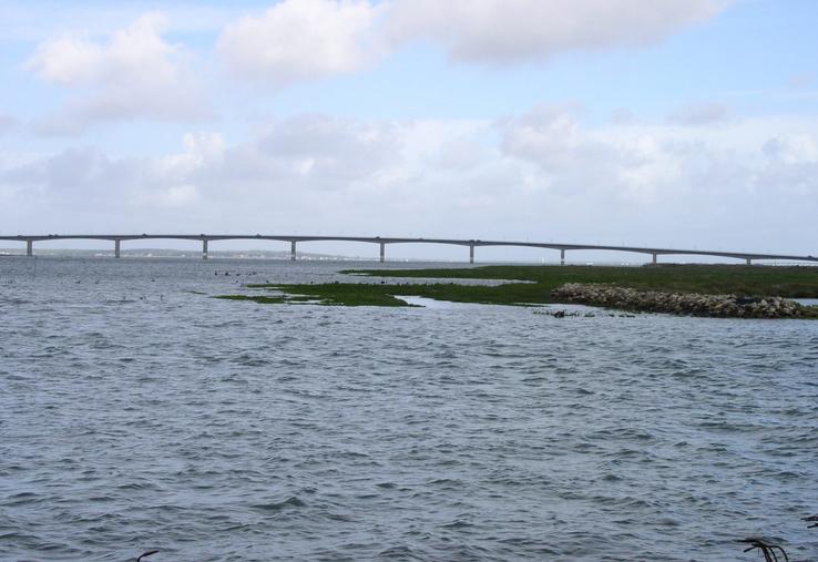 Malgré les 16 M€ d'entretien dépensés depuis 1991, le pont, emprunté par 3 millions de véhicules chaque année, nécessite un chantier de rénovation d'ampleur.