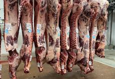 Les Français ont consommé en moyenne 21,3 kg éq. carcasse de viande bovine (kgéc) en 2023, soit 5 kg de moins qu'en 2003. Le porc et l'agneau sont également en baisse, supplantés par la volaille, qui a gagné 7 kgéc en vingt ans, soit 29 kgéc/pers. en 2023.