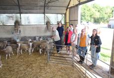 La délégation chilienne a visité l'exploitation du lycée agricole de Montmorillon.