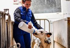 L'association des laiteries coopératives souhaite notamment améliorer l'image de la filière lait auprès des jeunes afin de les inciter davantage à se tourner vers les métiers qu'elle propose.