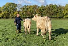 Gaetan Micheneau a choisi la race charolaise par habitude familiale, mais en a aussi fait une passion qui l'emmène dans plusieurs concours à travers le pays.