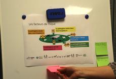 Les participants à la formation ont analysé à la fois comment empêcher les pathogènes de s'installer dans l'élevage et empêcher leur diffusion en dehors.