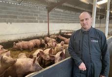 Didier Bréchoire, aux Châteliers, accueille environ 1 200 porcs par an pour l'engraissement.