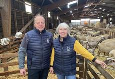 Jean-Manuel Simon est aidé sur l'élevage par sa compagne Sophie Gabard, elle aussi passionnée par les animaux. L'exploitation compte également un salarié polyvalent pour 21 h par semaine, une "aide précieuse".