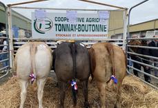 Un concours qui a tenu toutes ses promesses avec les 42 animaux.