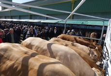 Rendez-vous est donné le lundi 16 mars. 